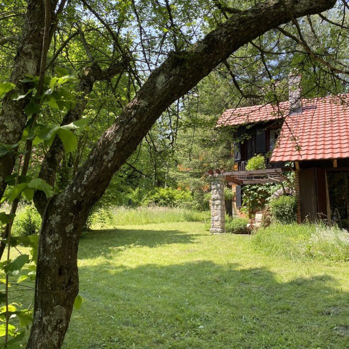 odmor na planinama srbije, izdavanje smestaja na zlatiboru, zlatibor rental