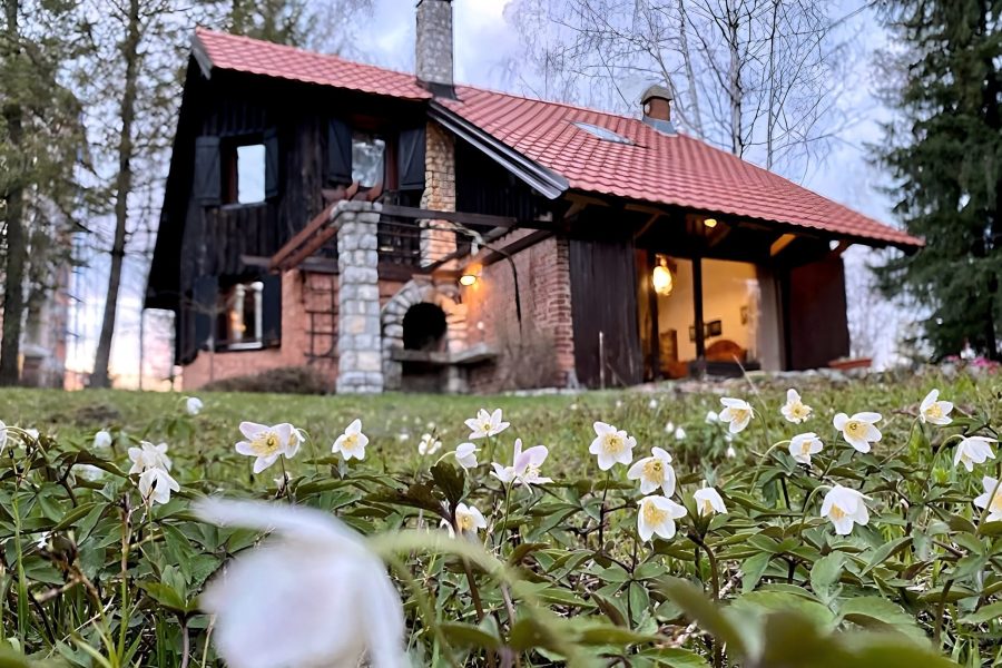 Izdavanje kuce zlatibor, kuca za odmor zlatibor, vikendica zlatibor, vila zlatibor