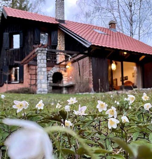 Smestaj zlatibor, zlatibor izdavanje vikendica, rent a cabin zlatibor, apartmani zlatibor